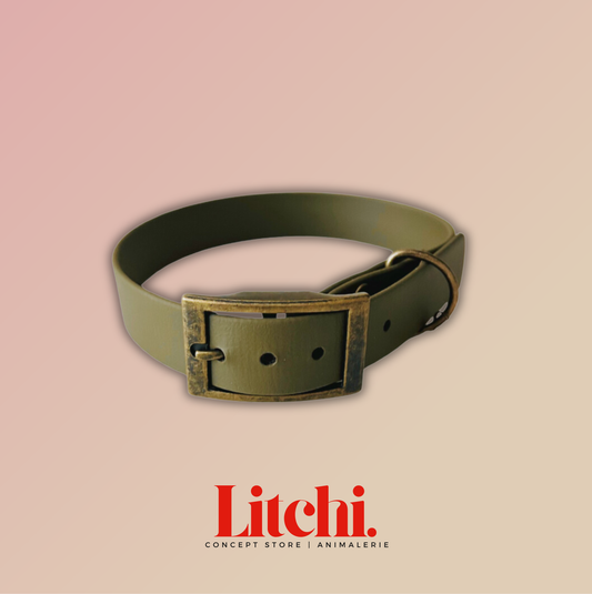 Collier BioThane® - Olive