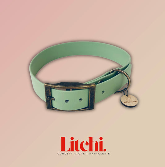 Collier BioThane® - Menthe