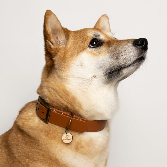 Collier BioThane® - Marron