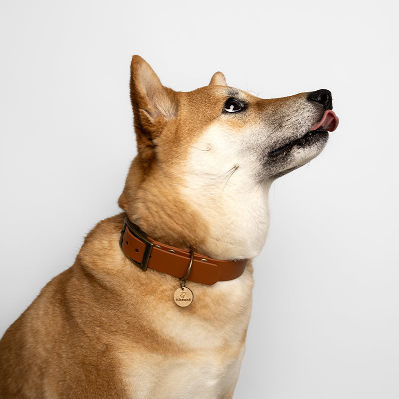 Collier BioThane® - Marron