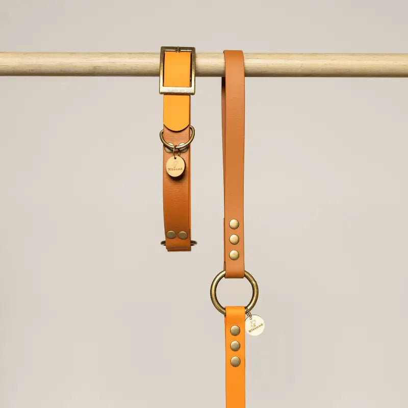 Laisse poignée en Biothane® bicolore - Orange/Marron