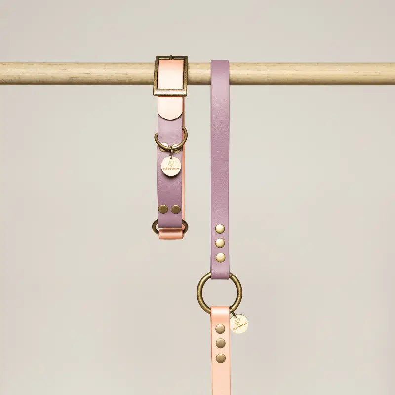 Collier pour chien en Biothane® bicolore - Violet/Rose