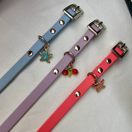 Collier en Biothane pour mini chiens et chiots