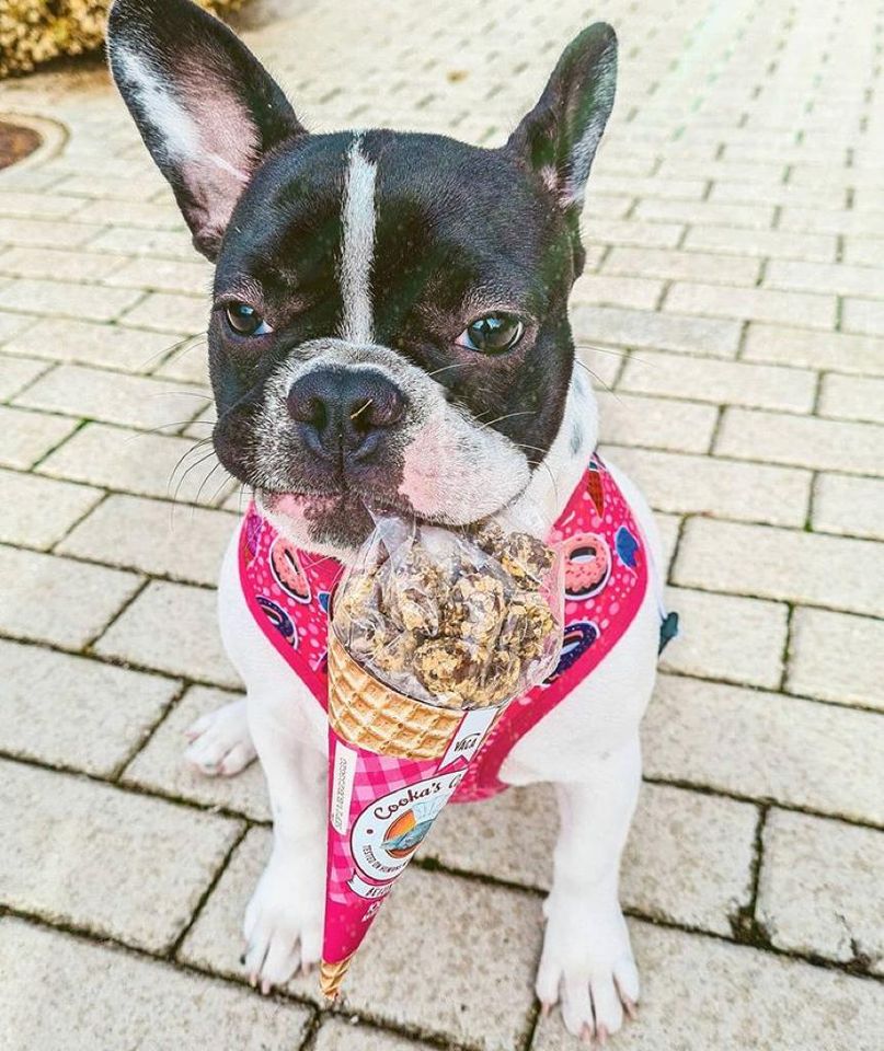 Friandises croquantes et naturelles au bœuf pour chiens
