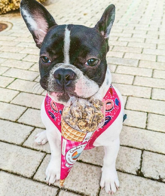 Friandises croquantes et naturelles au bœuf pour chiens
