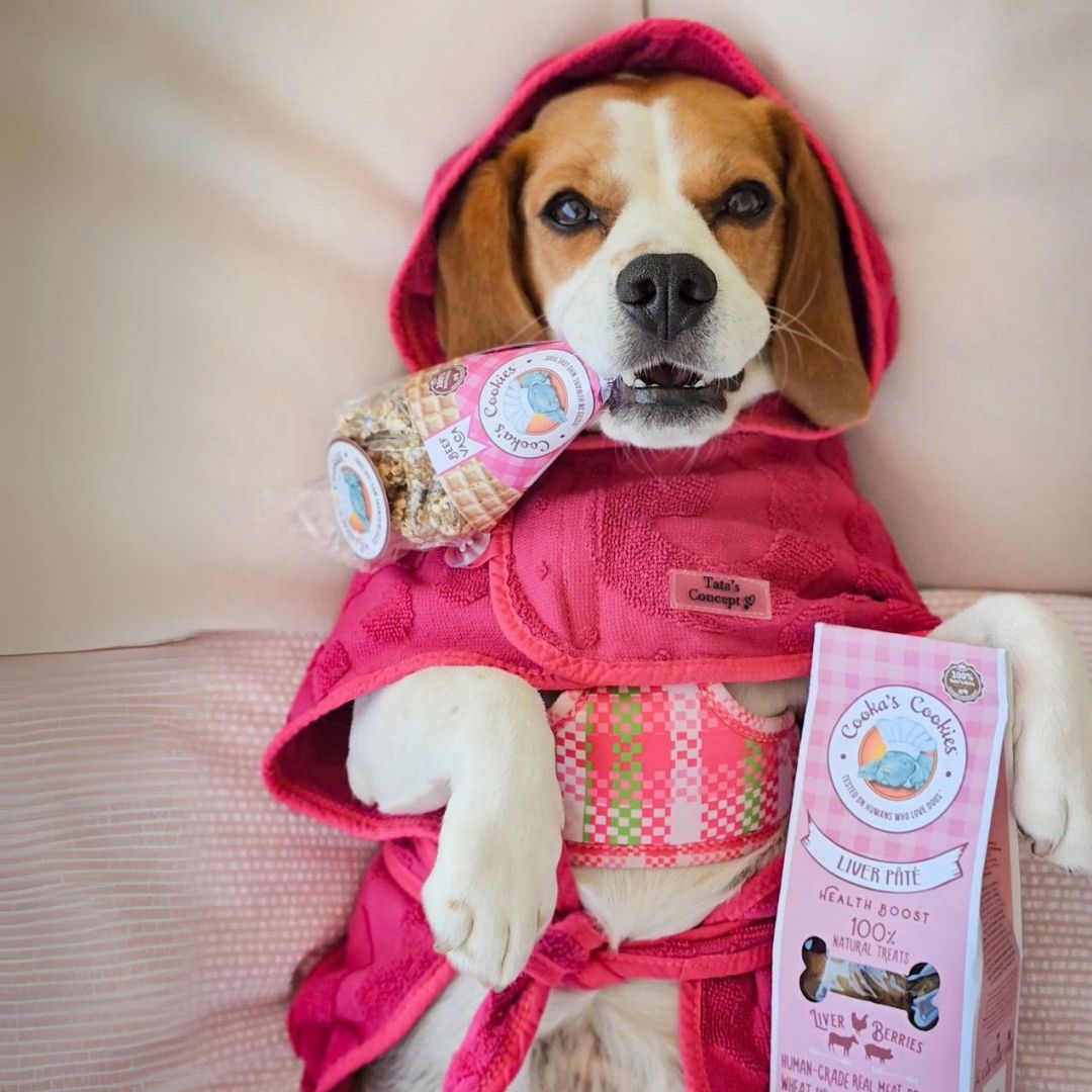 Friandises croquantes et naturelles au bœuf pour chiens