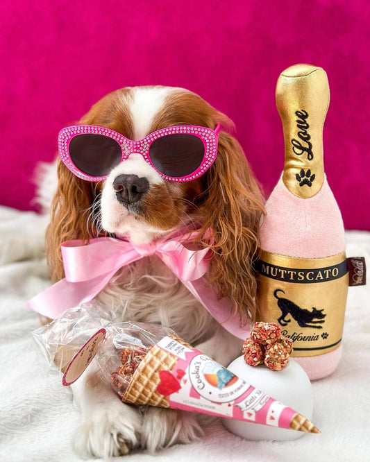 Friandises pour chiens dinde et thon