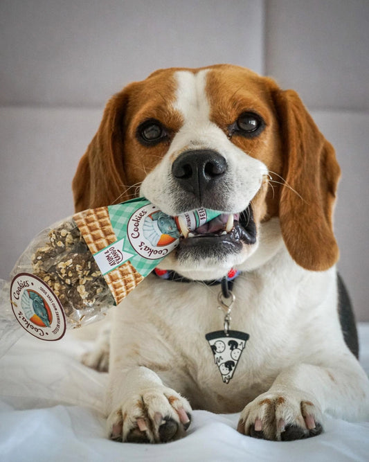 Friandises croquantes et naturelles pour chiens au poulet et au thon
