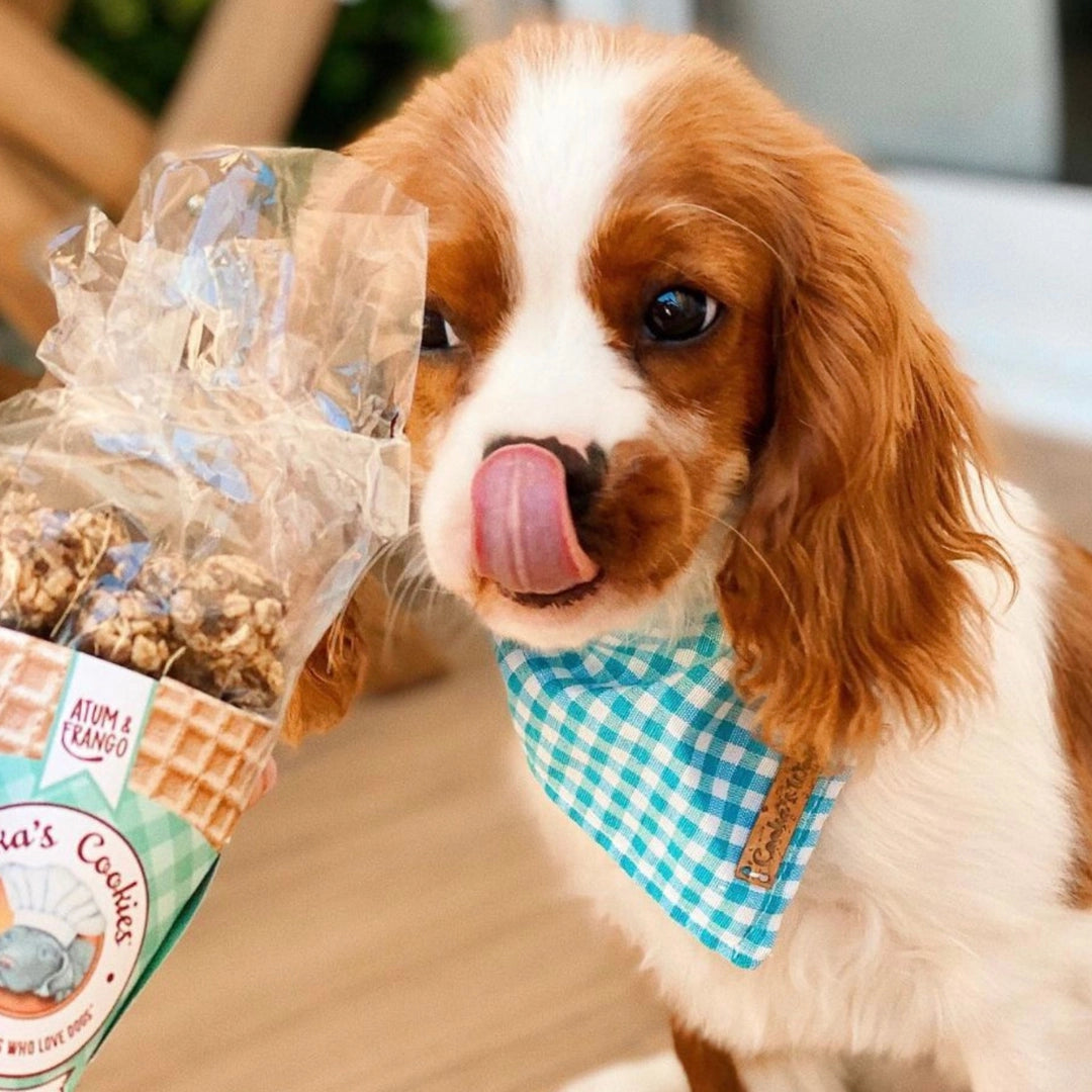 Friandises croquantes et naturelles pour chiens au poulet et au thon