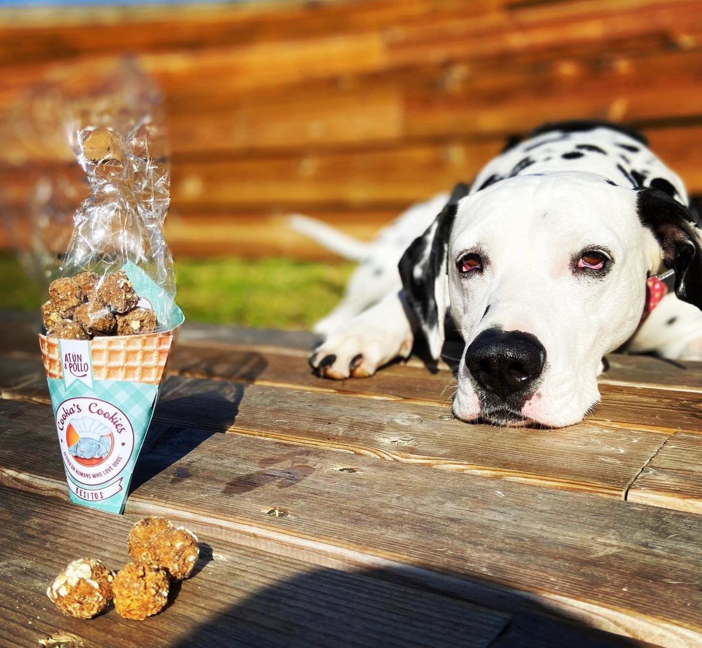 Friandises croquantes et naturelles pour chiens au poulet et au thon