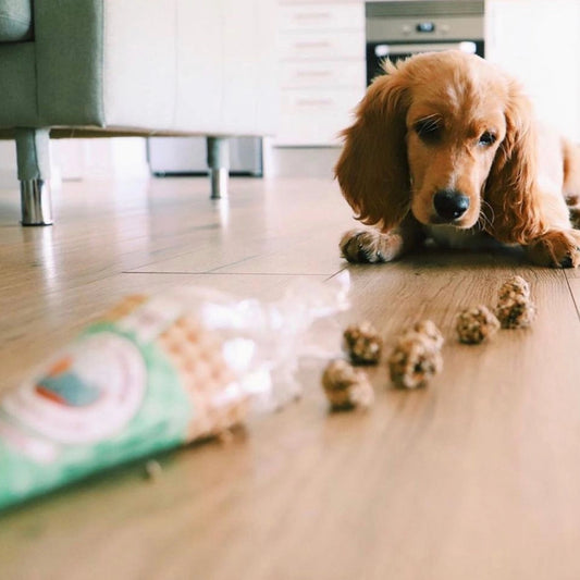 Friandises croquantes et naturelles au porc et à la sardine pour chiens