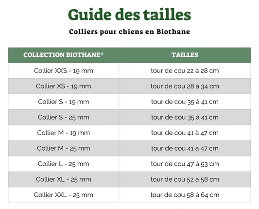 Collier BioThane® - Menthe