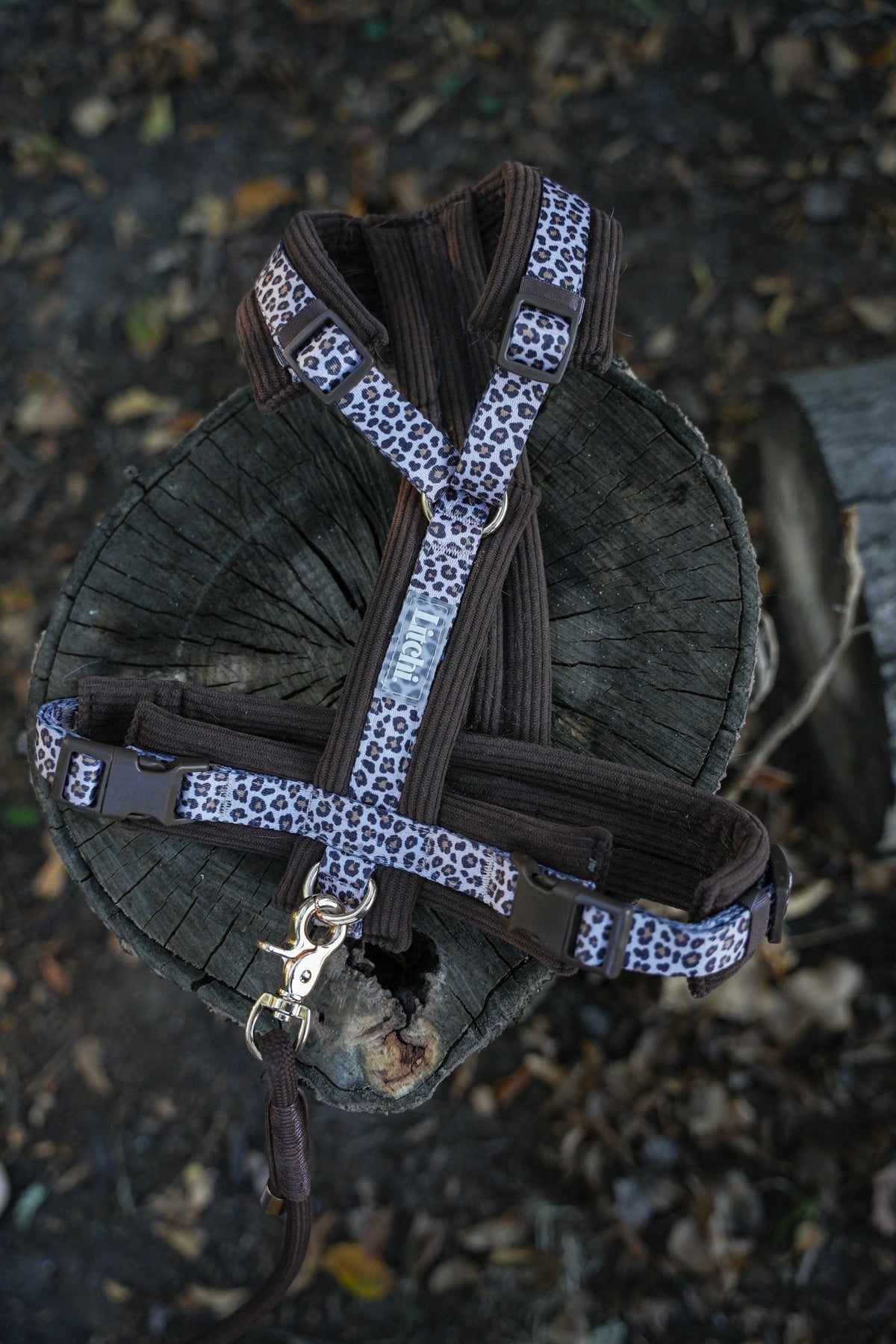Harnais L’Indomptable - motif Léopard
