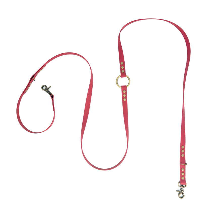 Laisse multi-positions BioThane® - Rouge