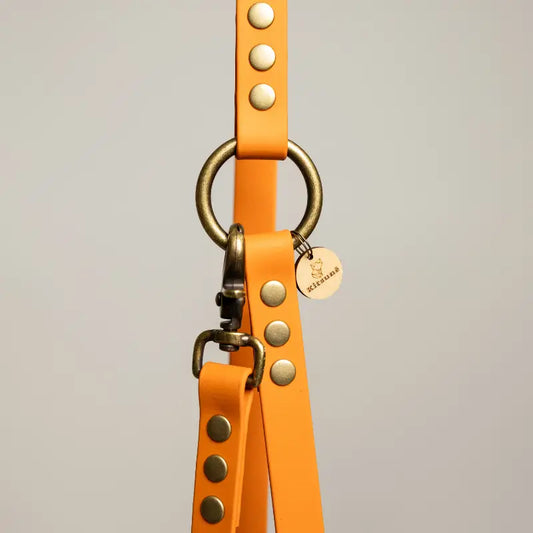 Laisse multi-positions BioThane® - Orange