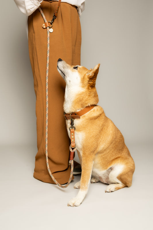 Laisse 3 positions bi-matières pour chien – Tartan