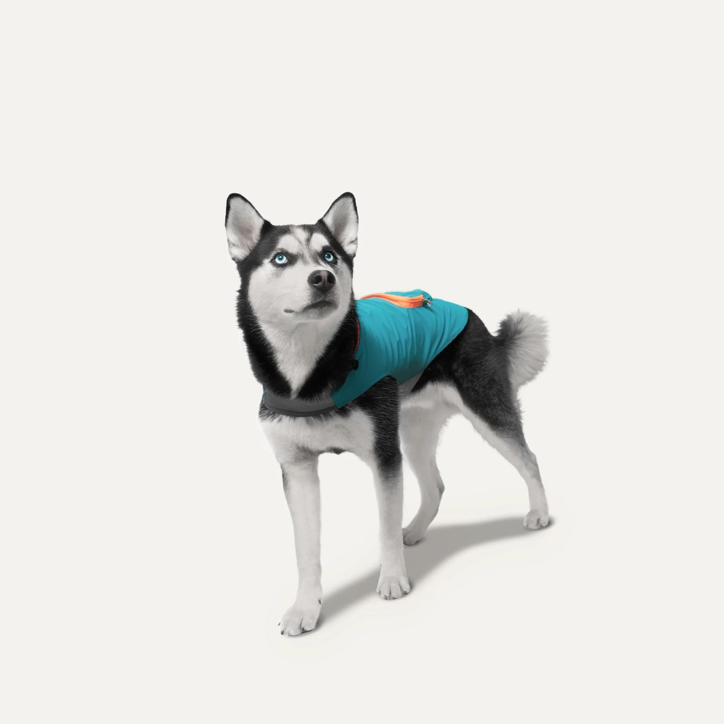 Poncho imperméable Goo-eez - Turquoise