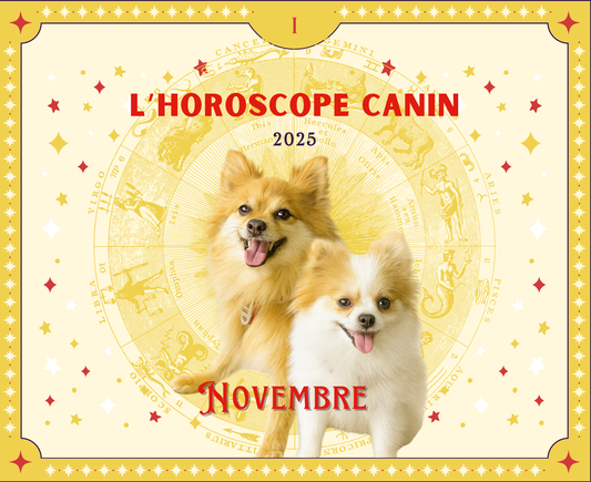 L'Horoscope Canin - Novembre 2025