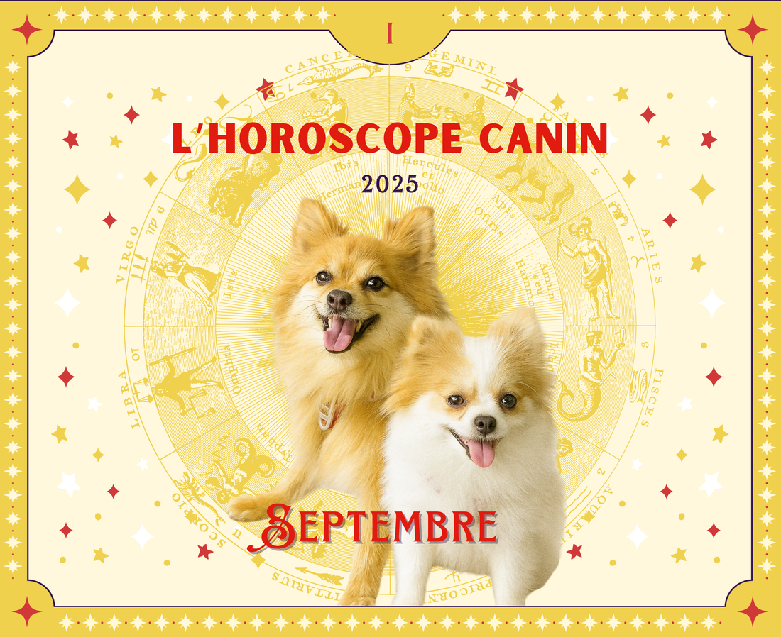 L'Horoscope Canin - Septembre 2025