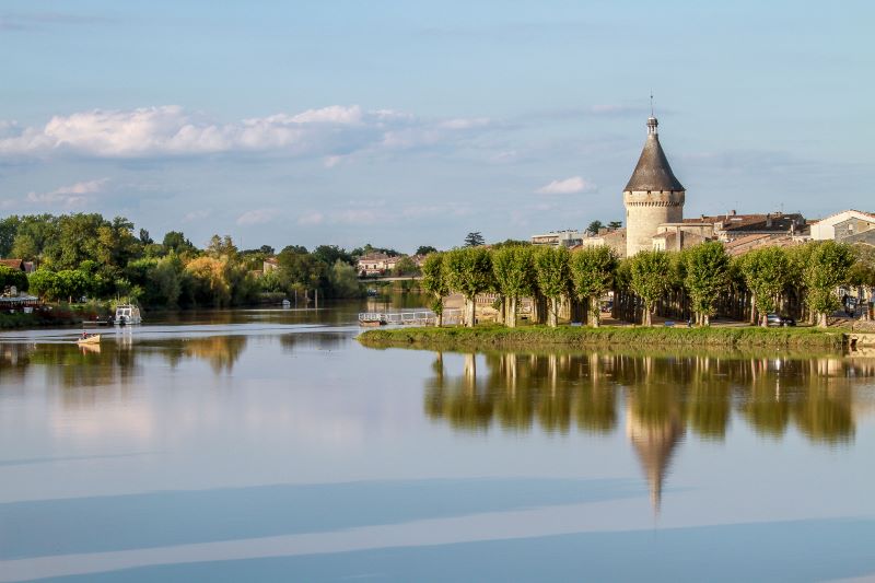 Balades autour de Libourne avec son chien : 7 itinéraires nature et patrimoine