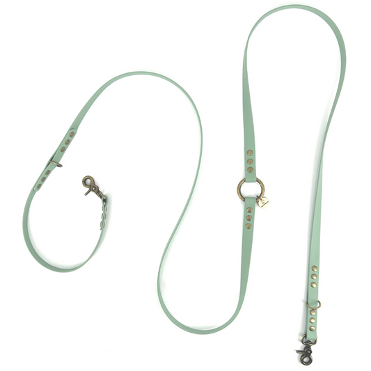 Laisse multi-positions BioThane® - Menthe