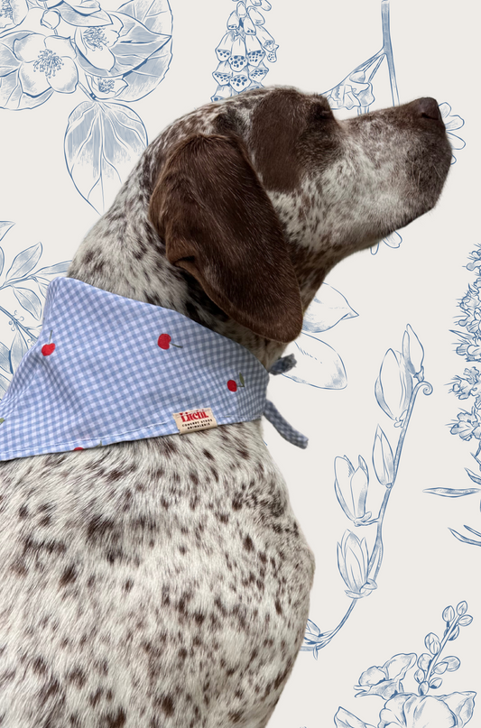 Bandana cerises - bleu