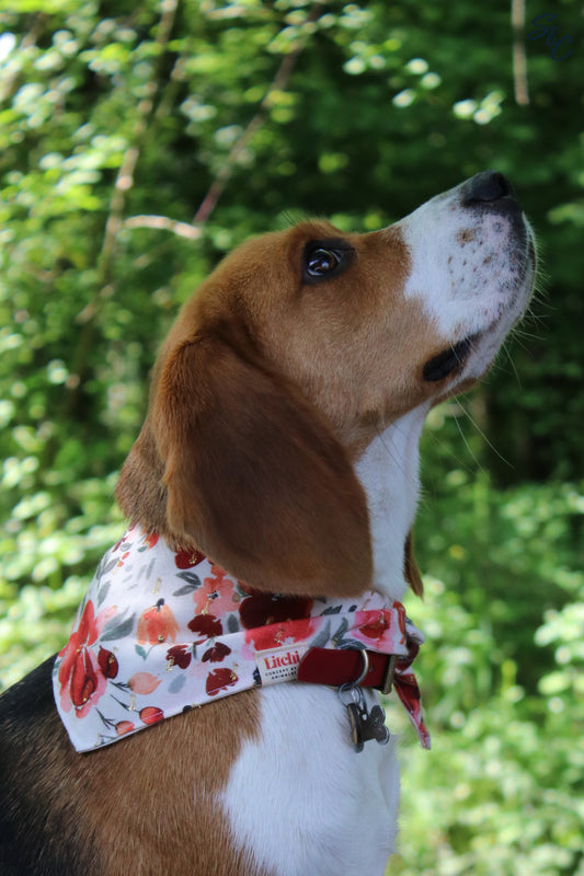 Bandana fleuri