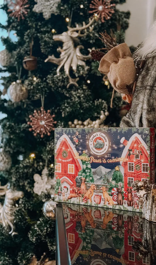 Calendrier de l'Avent de Noël pour chiens (édition premium)