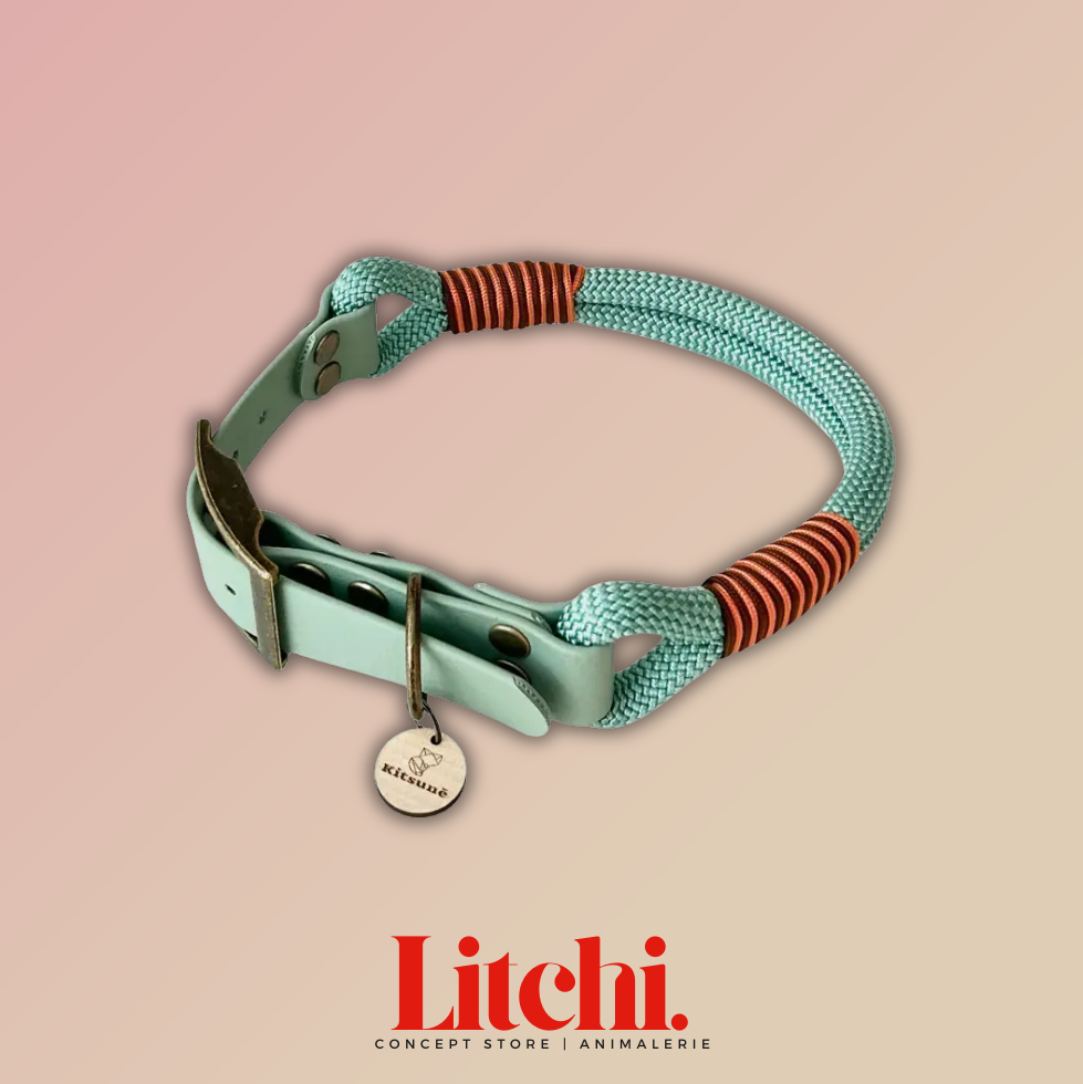 Collier bi-matière BioThane® et Paracorde - Menthe