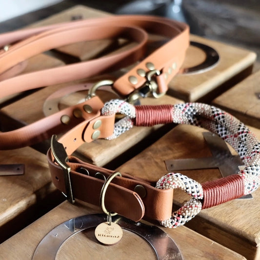 Collier bi-matière Biothane marron et Paracorde tartan