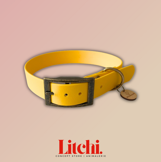 Collier BioThane® - Jaune