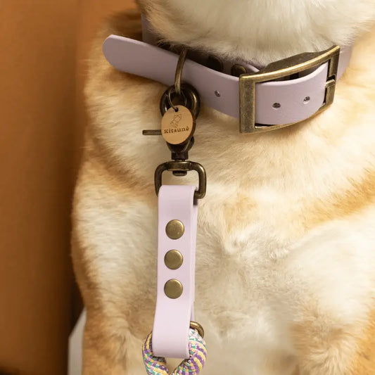 Collier BioThane® - Lilas