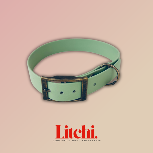 Collier BioThane® - Menthe