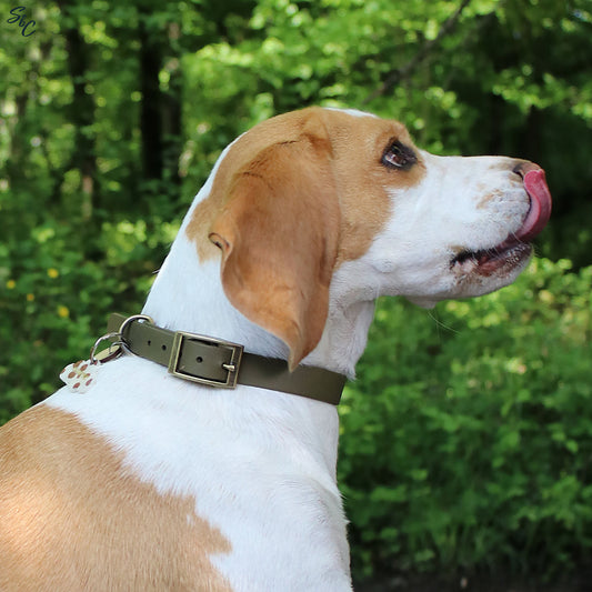 Collier Biothane - Olive