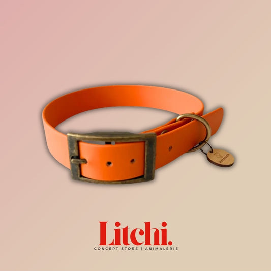 Collier Biothane - Orange