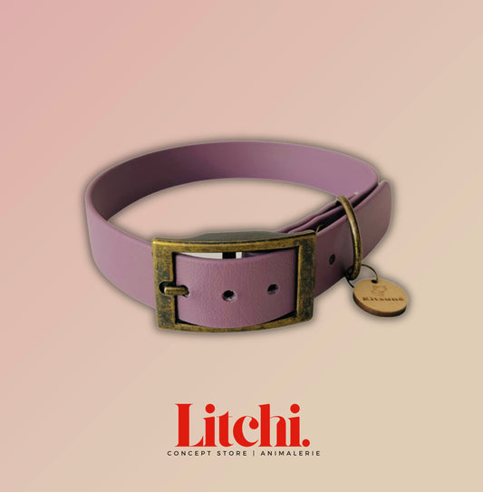 Collier Biothane - Violet