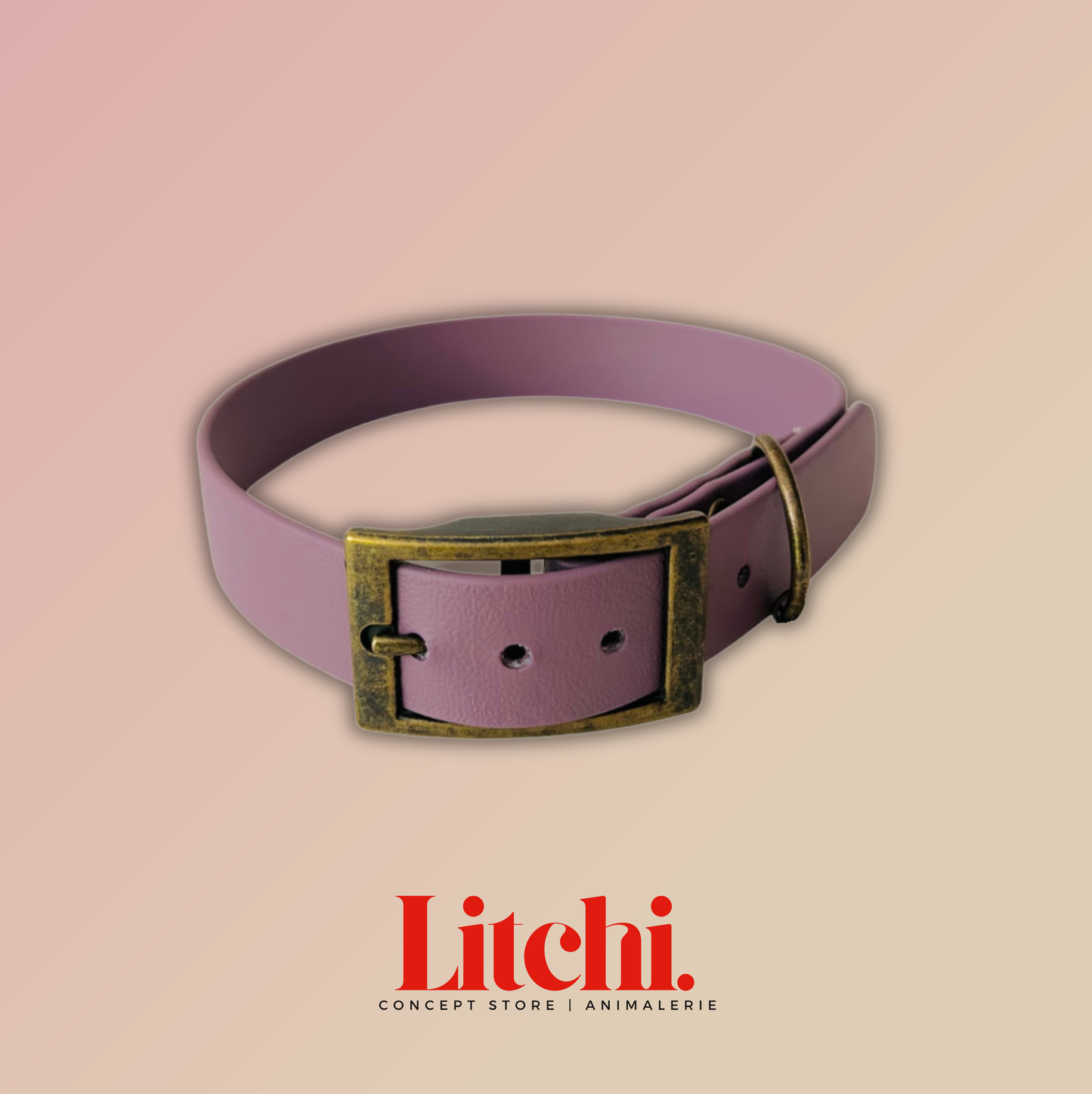 Collier BioThane® - Violet