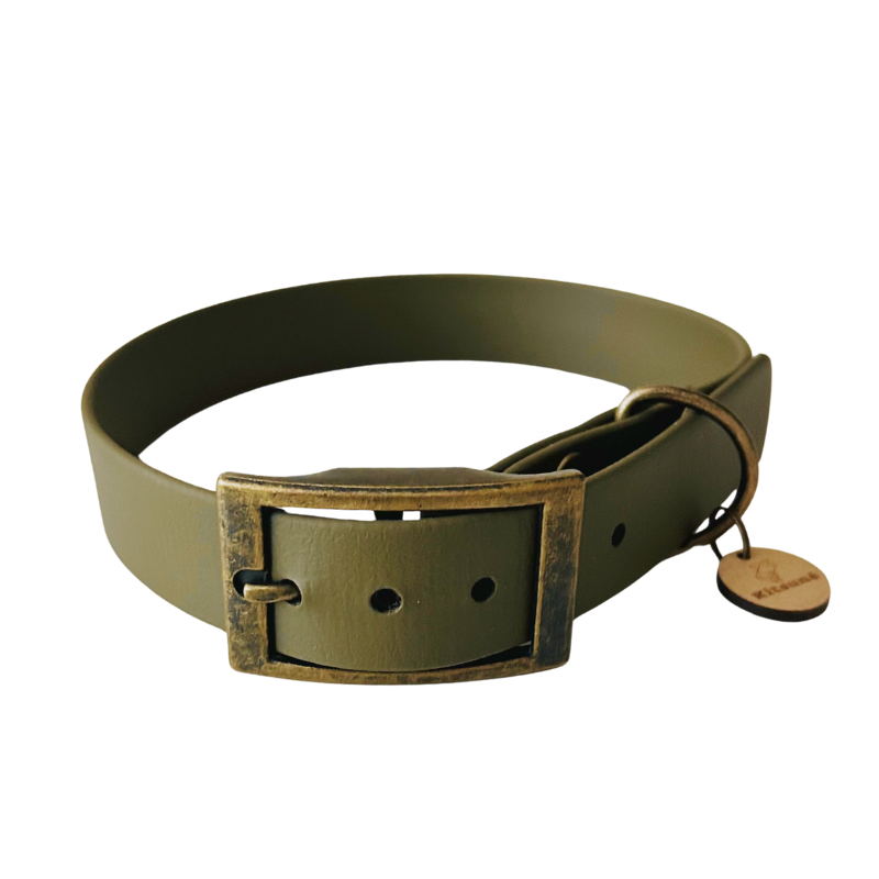 Collier Biothane - Olive