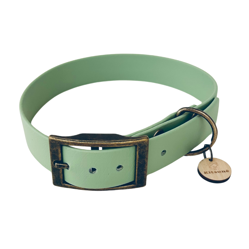 Collier Biothane - Menthe