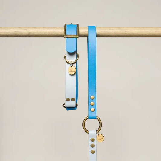 Collier pour chien en Biothane® bicolore - Bleu