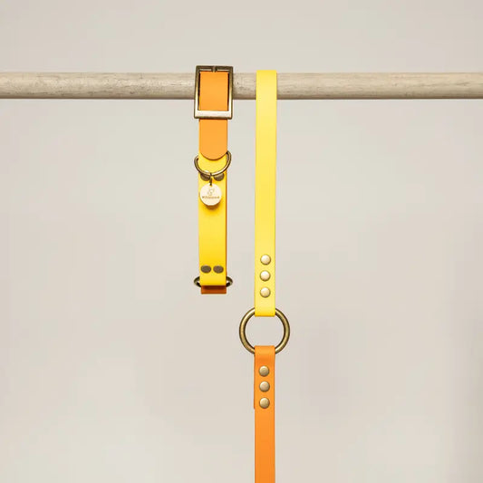 Collier pour chien en Biothane® bicolore - Jaune/Orange