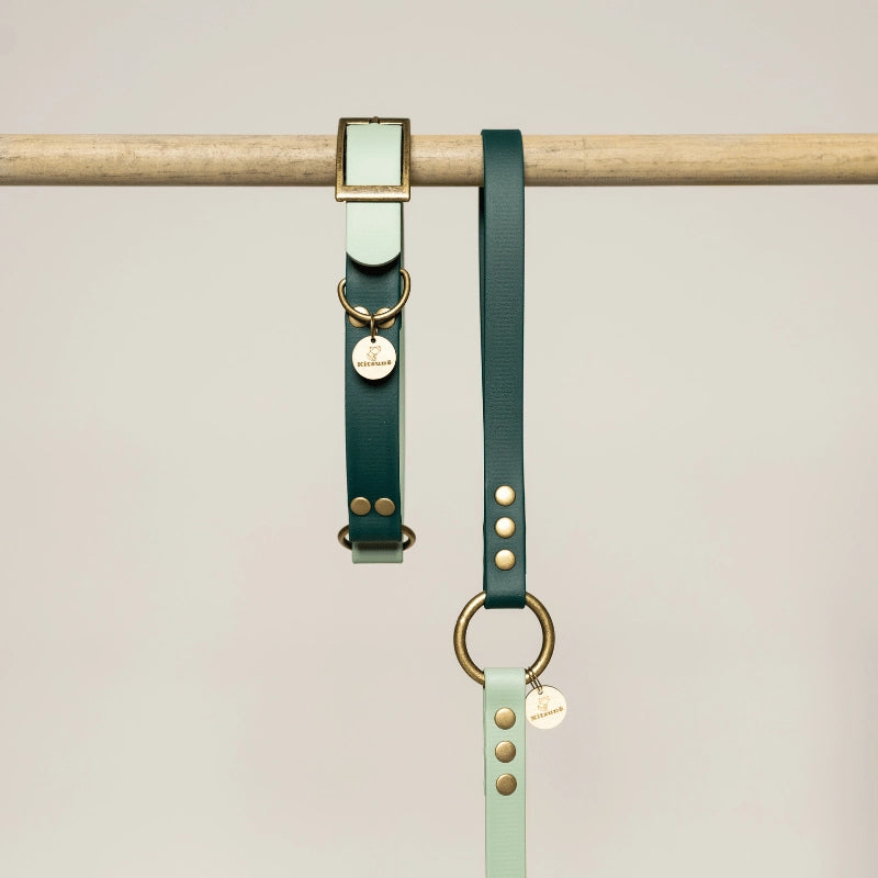 Collier pour chien en Biothane® bicolore - Menthe/Emeraude