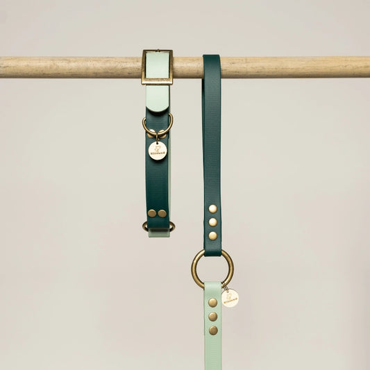 Collier pour chien en Biothane® bicolore - Menthe/Emeraude