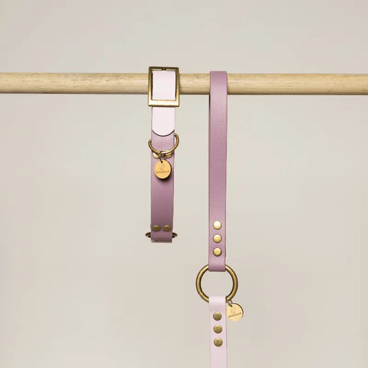Collier pour chien en Biothane® bicolore - Violet/Lilas