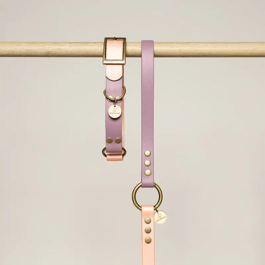 Collier pour chien en Biothane® bicolore - Violet/Rose