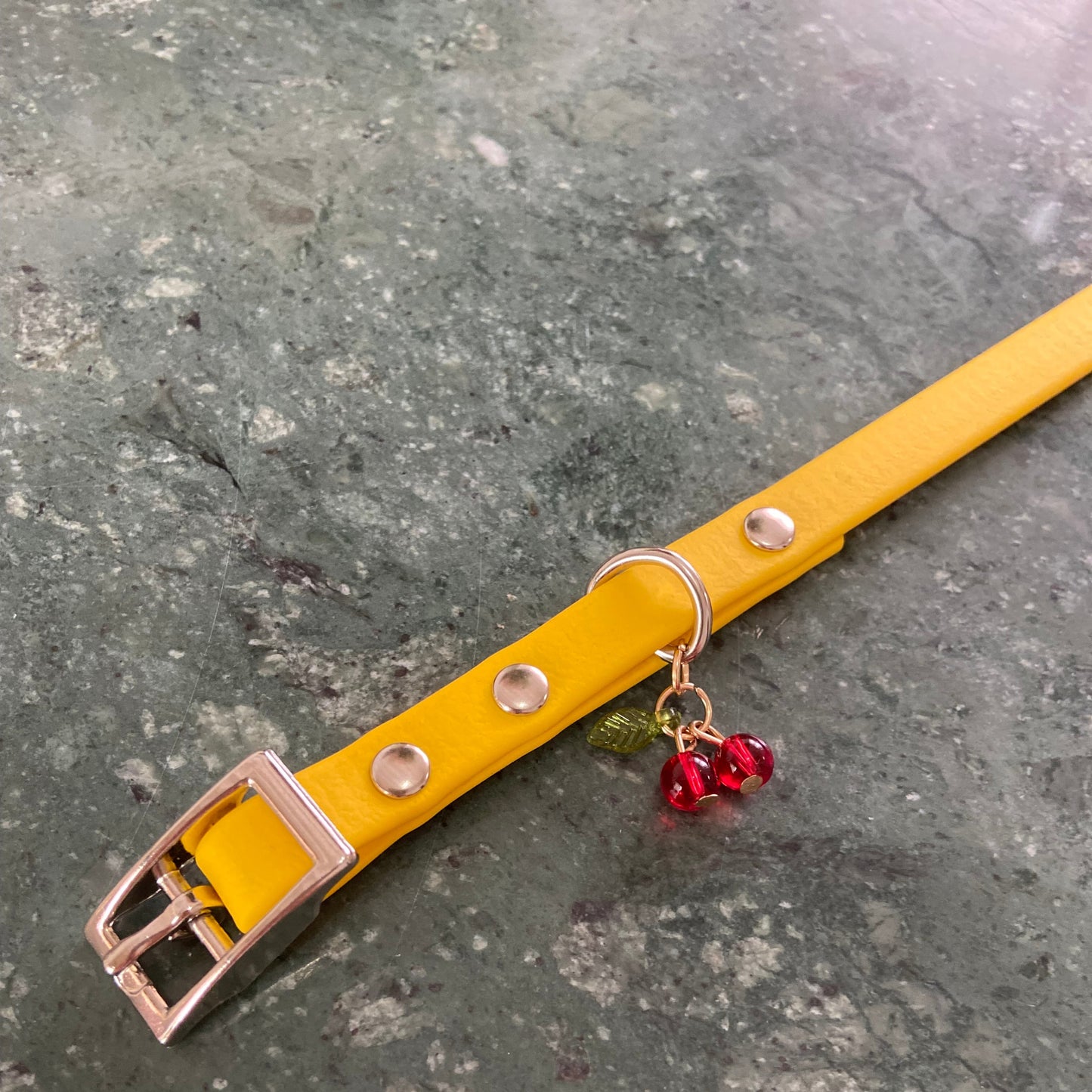 Collier en Biothane pour mini chiens et chiots