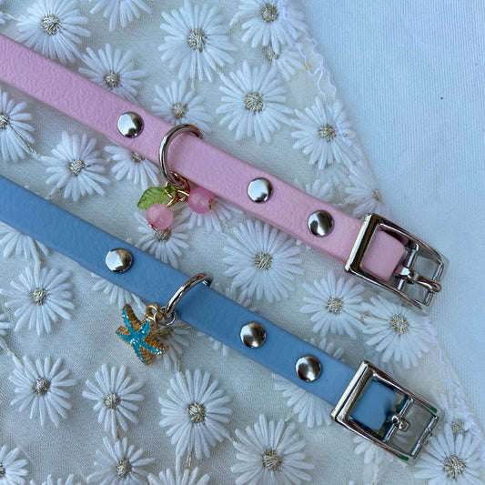 Collier en Biothane pour mini chiens et chiots