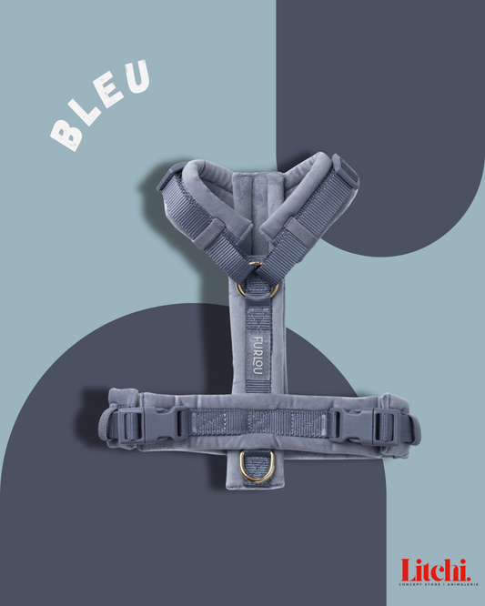 Harnais pour chiens en velours - Bleu - Furlou