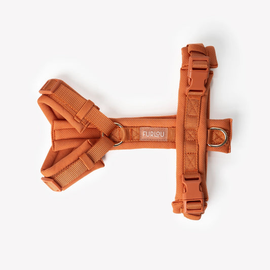 Harnais pour chien Terracotta - Confort