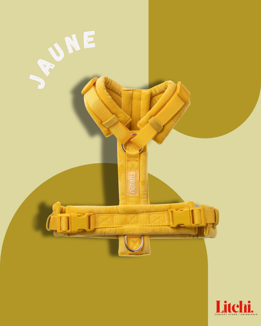 Harnais pour chiens en velours - Jaune - Furlou